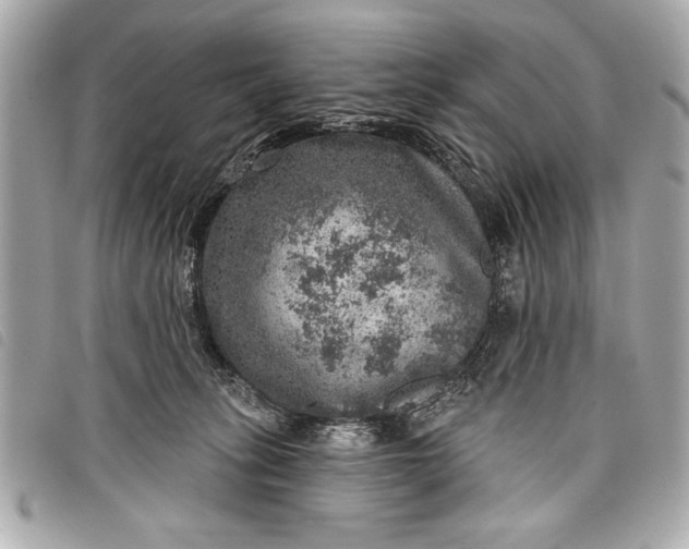 X0000098070275200804181141