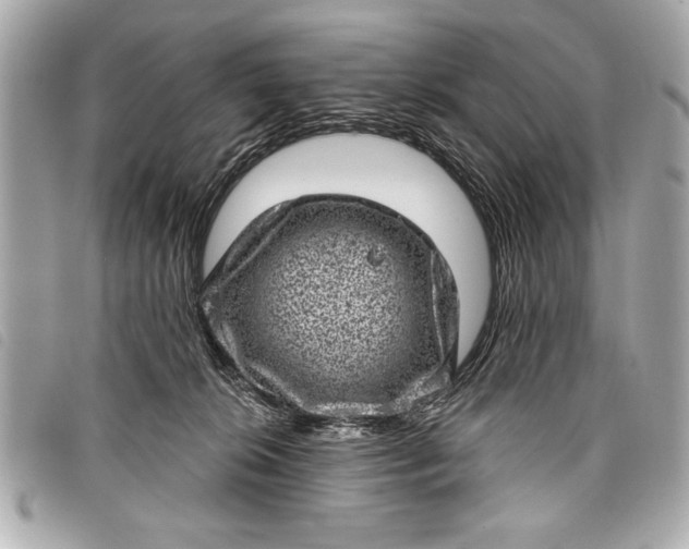 X0000098070276200804181141