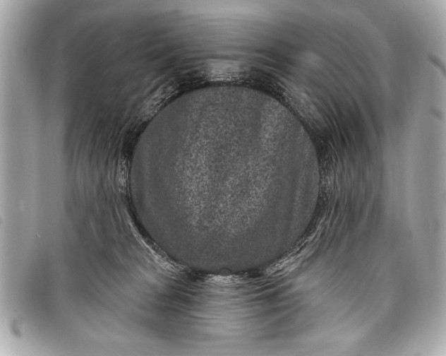 X0000098070277200804181141