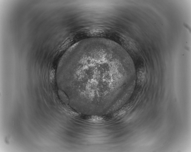 X0000098070278200804181141