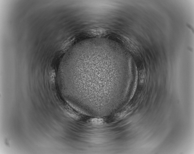 X0000098070279200804181141