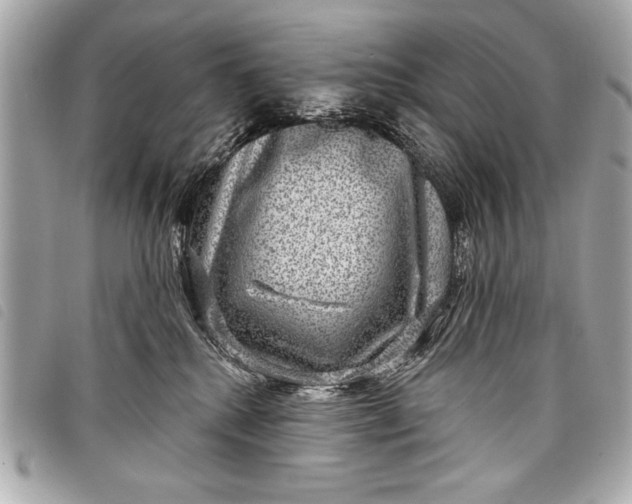 X0000098070280200804181141