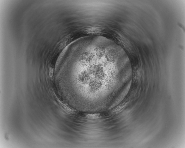 X0000098070281200804181141