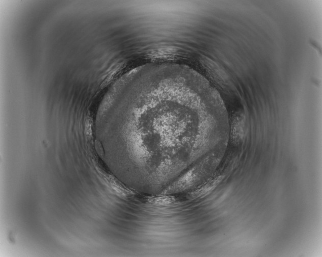 X0000098070282200804181141