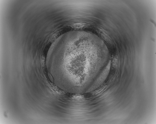 X0000098070283200804181141