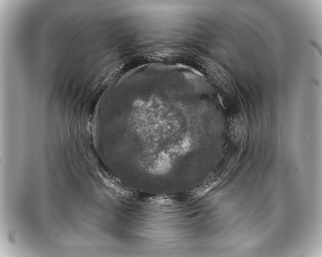 X0000098070284200804181141