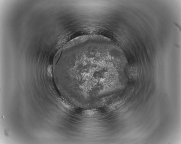 X0000098070286200804181141