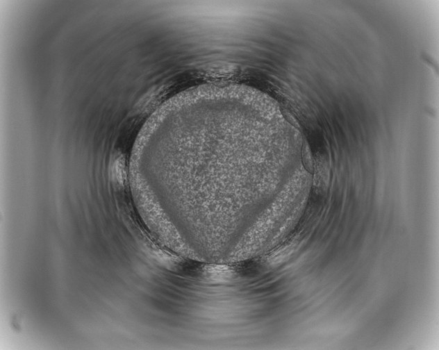 X0000098070287200804181141