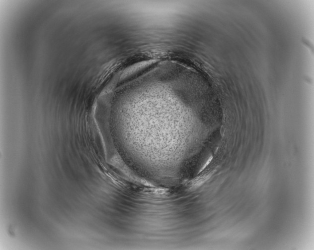 X0000098070288200804181141