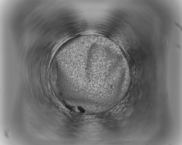 X0000098070289200804181140