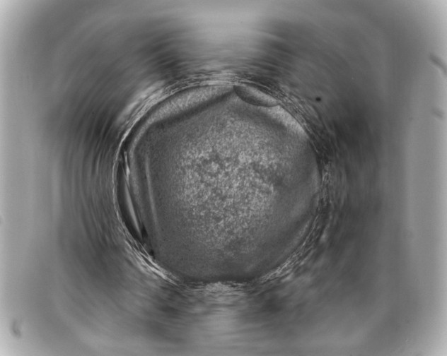 X0000098070290200804181140