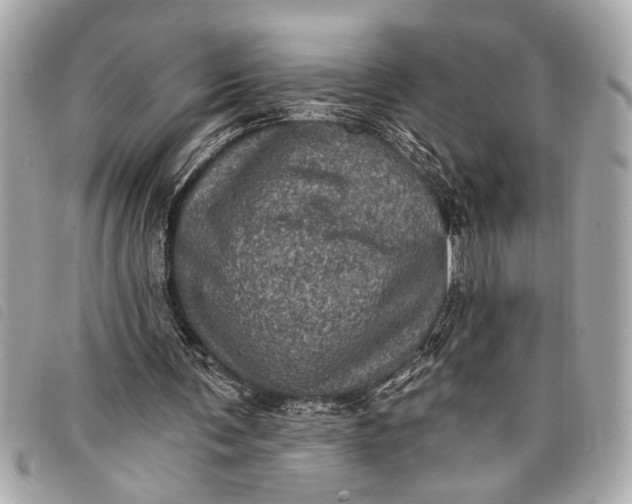 X0000098070291200804181140