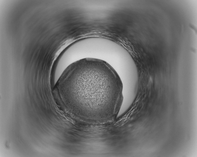 X0000098070292200804181140