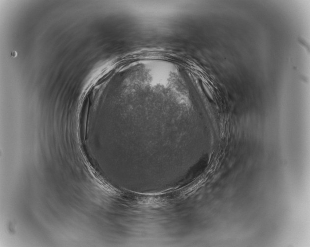 X0000098070293200804181140