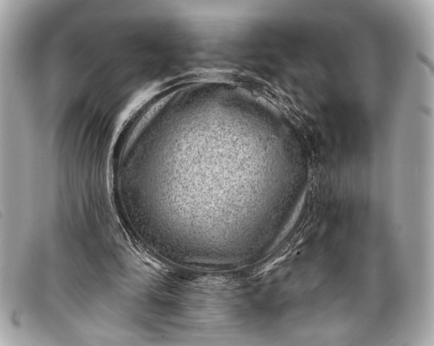 X0000098070294200804181140