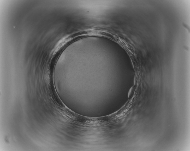 X0000098070295200804181140