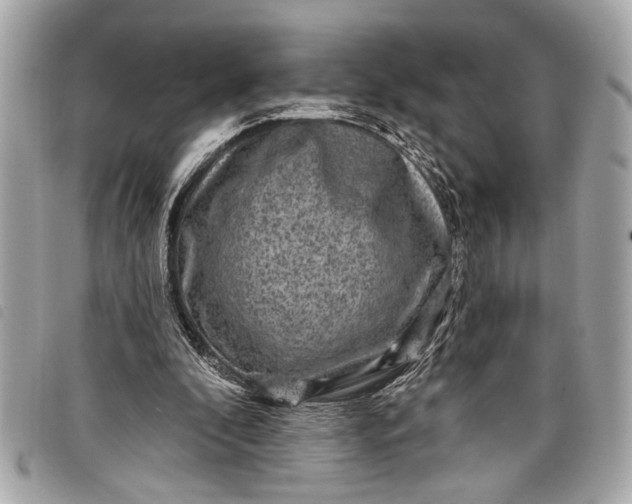 X0000098070296200804181140