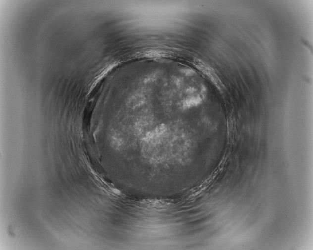 X0000098070297200804181140