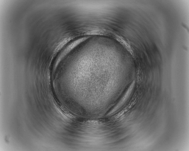 X0000098070298200804181140