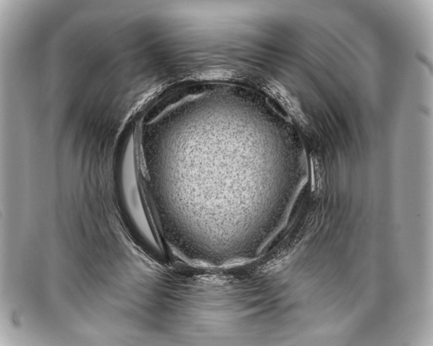 X0000098070300200804181140