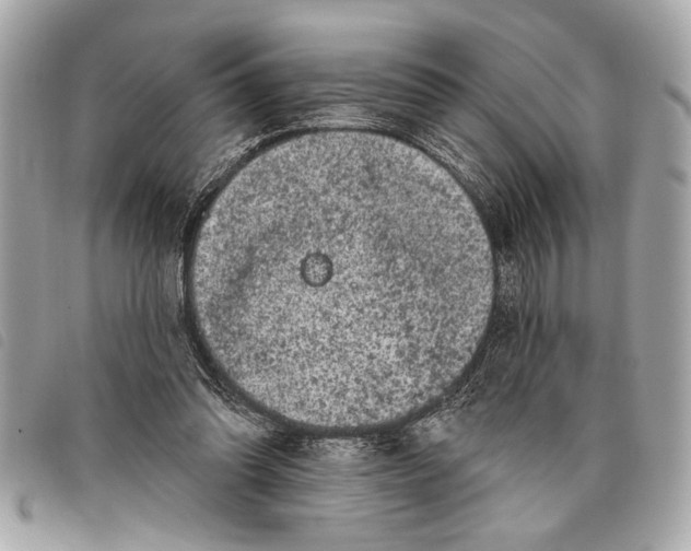 X0000098070302200804181140