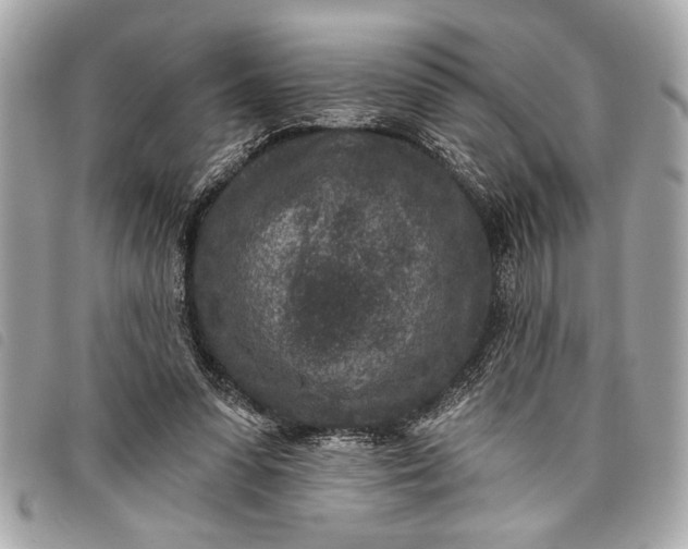 X0000098070303200804181140