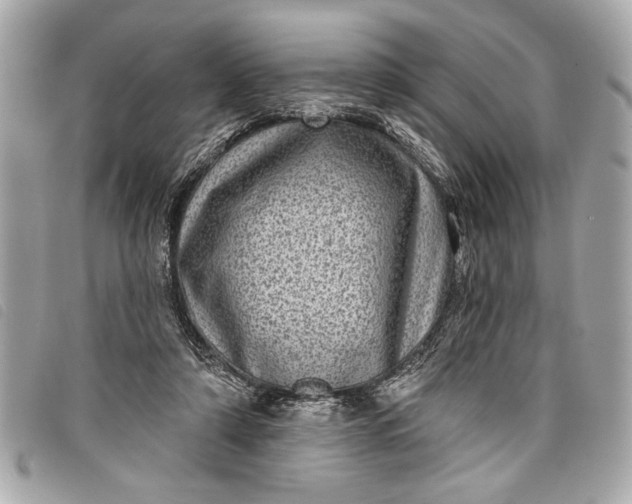 X0000098070306200804181140