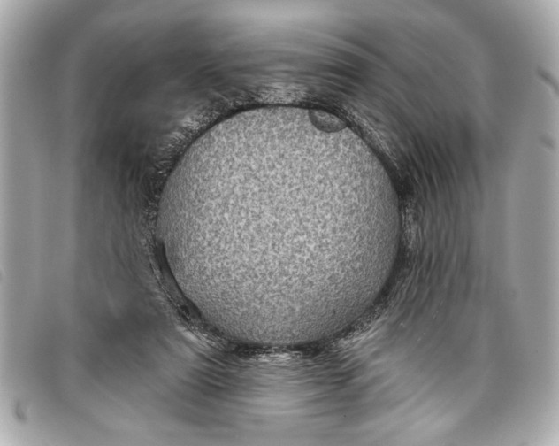 X0000098070307200804181140