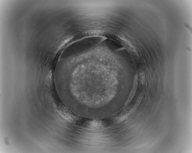 X0000098070308200804181140