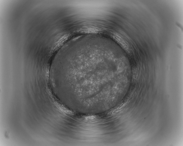 X0000098070309200804181140