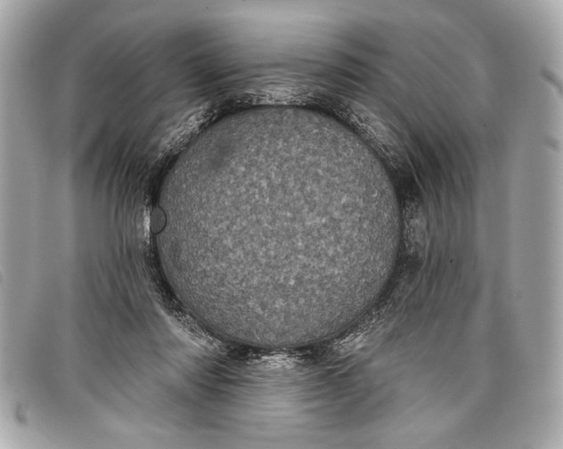 X0000098070310200804181140