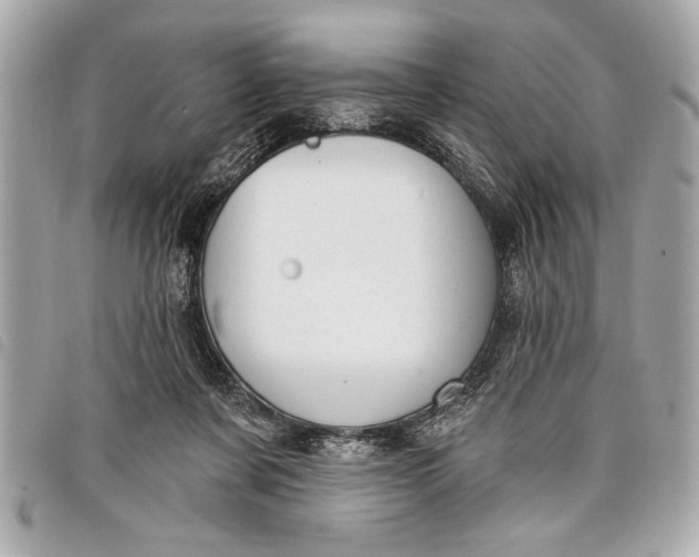 X0000098070311200804181140