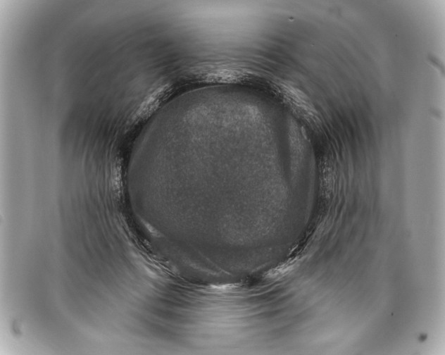 X0000098070312200804181140