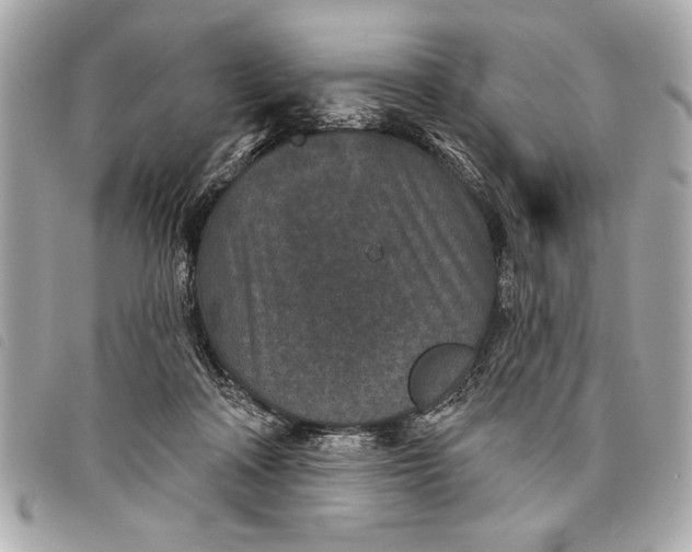 X0000098070314200804181140