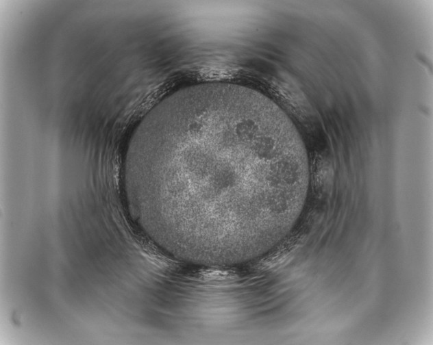 X0000098070315200804181140