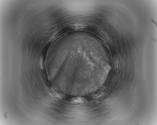 X0000098070316200804181140