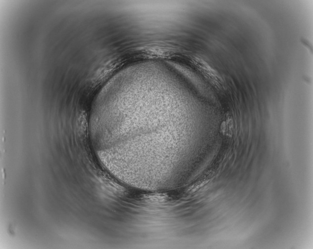 X0000098070318200804181140