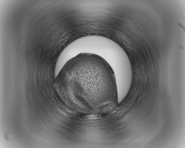 X0000098070320200804181139