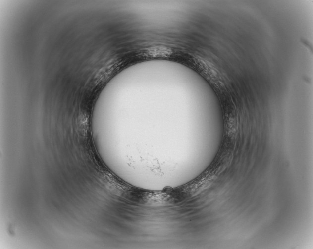 X0000098070321200804181139