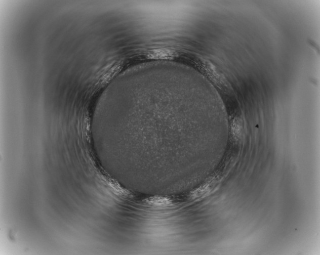 X0000098070322200804181139