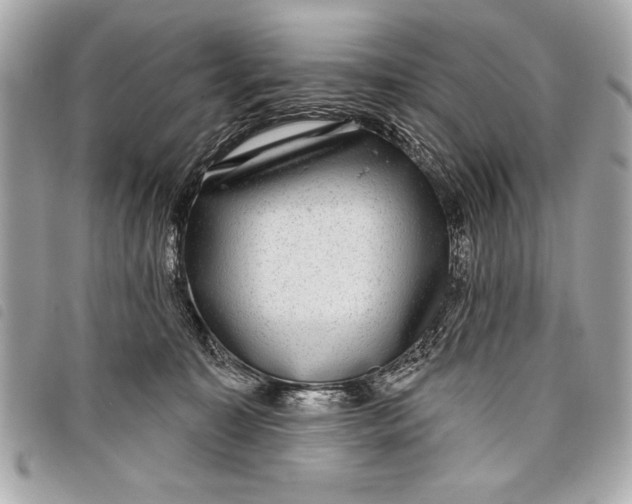 X0000098070323200804181139