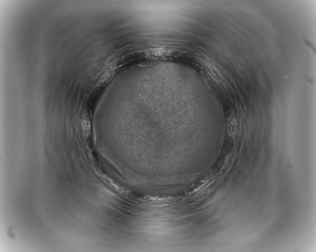 X0000098070324200804181139