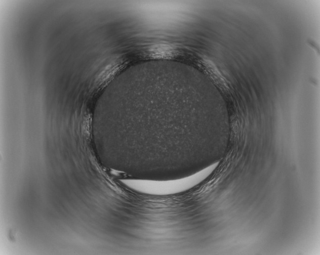 X0000098070325200804181139