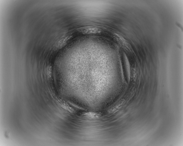 X0000098070326200804181139