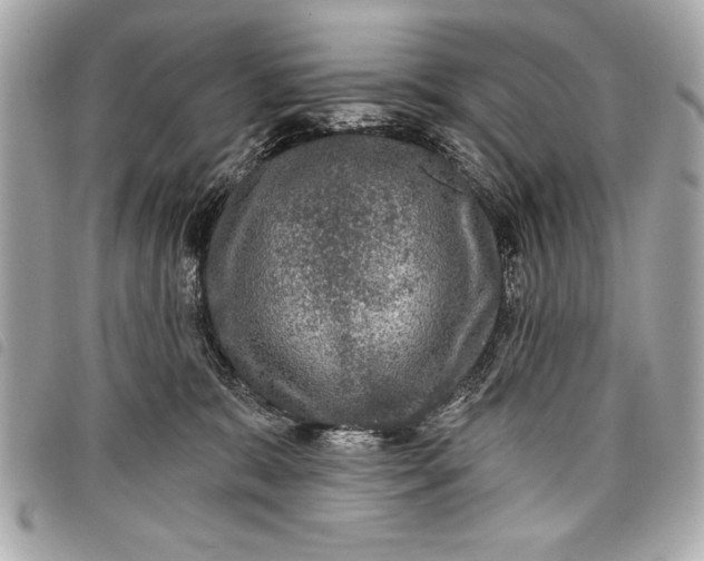 X0000098070327200804181139