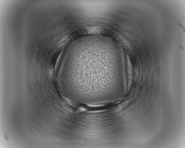 X0000098070329200804181139