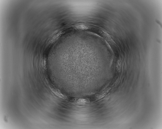 X0000098070330200804181139