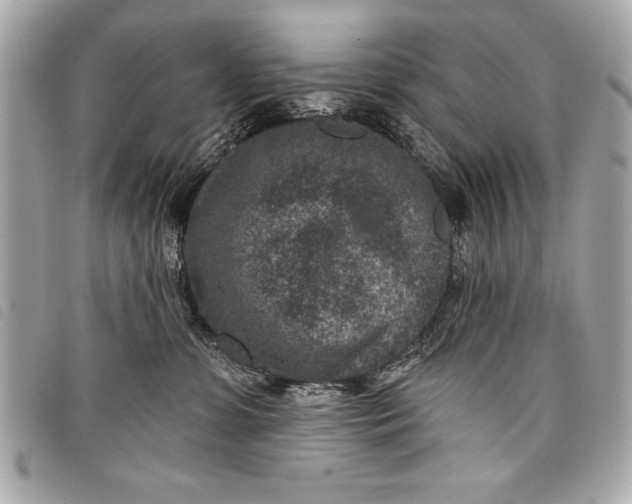 X0000098070331200804181139