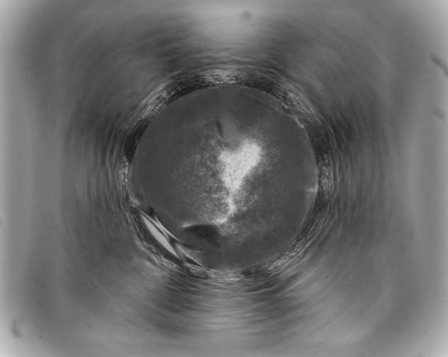 X0000098070332200804181139