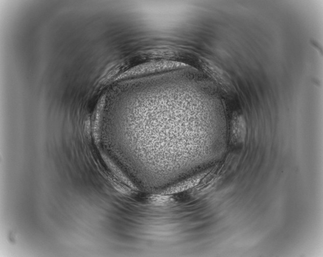 X0000098070333200804181139